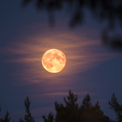 Whispers of the Moon - Soundhealing