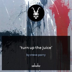 **FULL LENGTH PREVIEW** Steve Parry - Turn Up The Juice