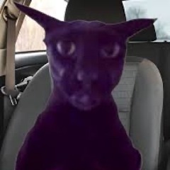 🎶🐾🫡