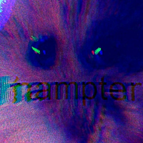 Extasengeplänkel