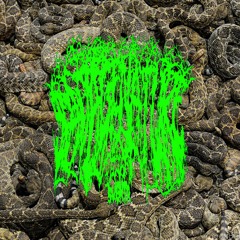 ethereal deathmatch plugg type beat"siren of snakes"[prod. svgntr]