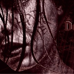 Industrial Demon - C.O.D.S x B.F.H MIX snippet (Early 2010s)