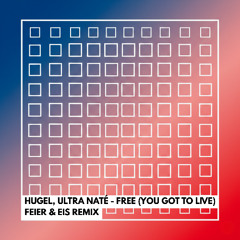 HUGEL, Ultra Naté - Free (You Got To Live) (FEIER & EIS Remix) - FILTERED - DOWNLOAD ORIGINAL