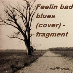 Feelin bad blues (cover) - fragment
