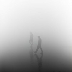 Through the Fog