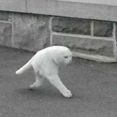 making my way downtown ^-^