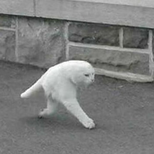 making my way downtown ^-^