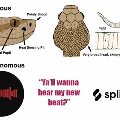 Balls of the earth.mp3