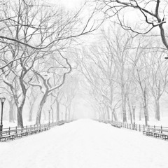 Snow In Hometown