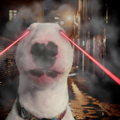 Laser Pointer (prod. Puda x OmerMarom)