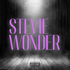 stevie wonder