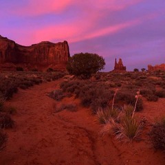 Toxic Love (prod. Ovve)