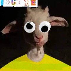 Togore Dreamer