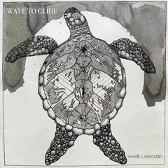 Shane Larmand - Wave To Glide