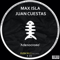 Max Isla ,  Juan Cuestas - Sleep Walker
