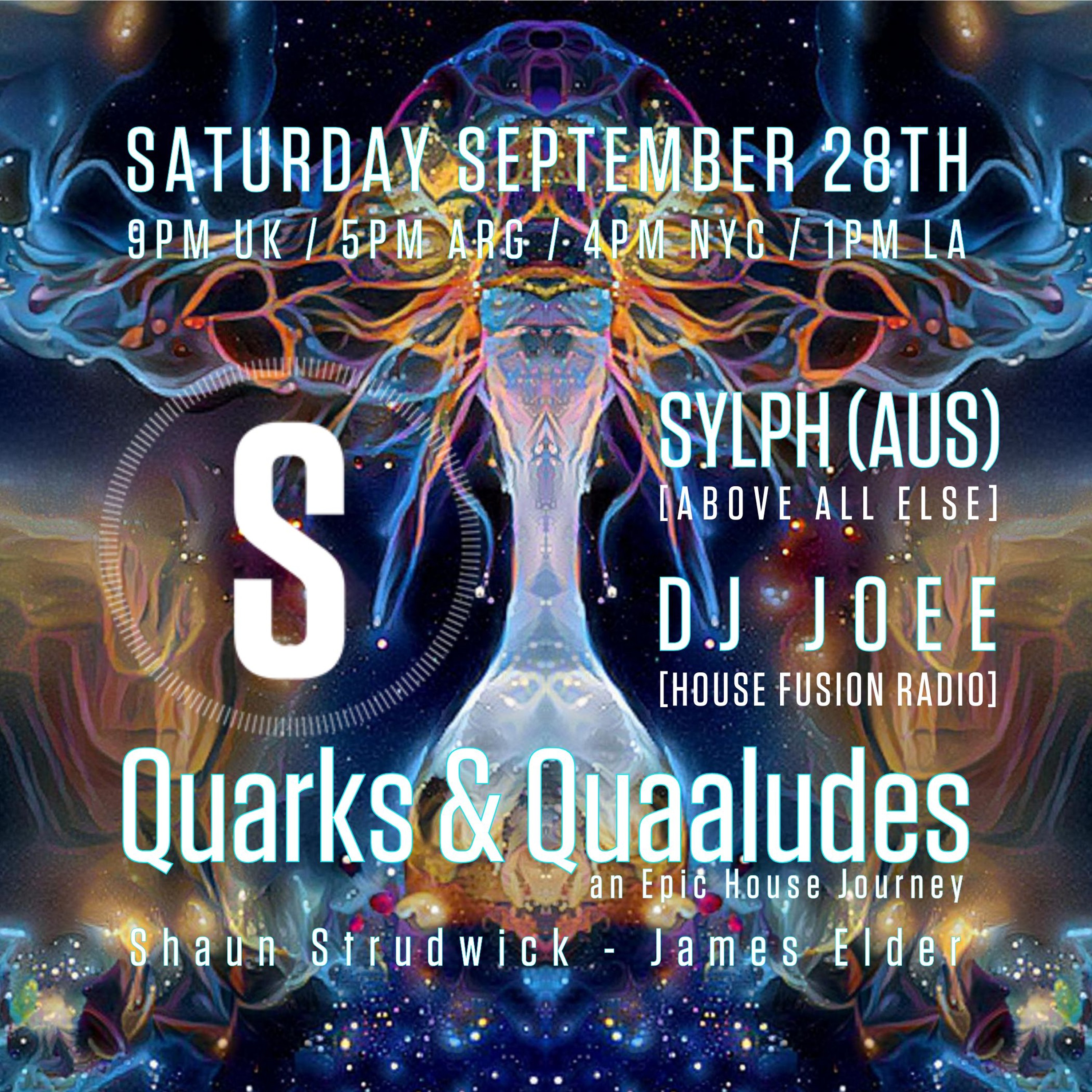 Q&Q Sept 2024 - Shaun Strudwick