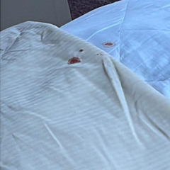 matthew the first, mikno$ - za HRAD a