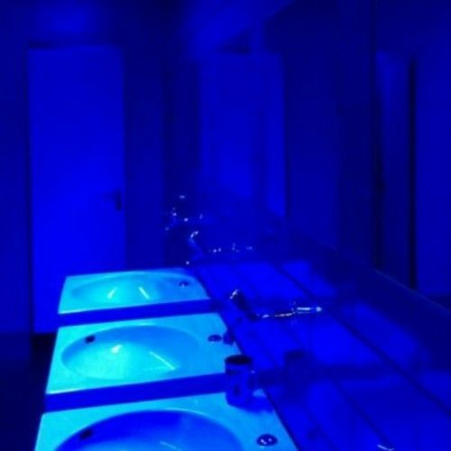 this side of paradise by coyote theory but youre crying in the bathroom