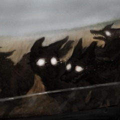 Eyes