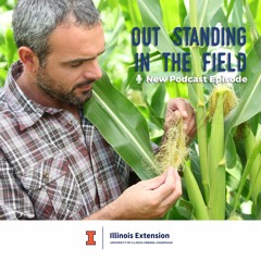 Spring weather affecting crops, markets