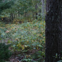 . (bring myself out of)