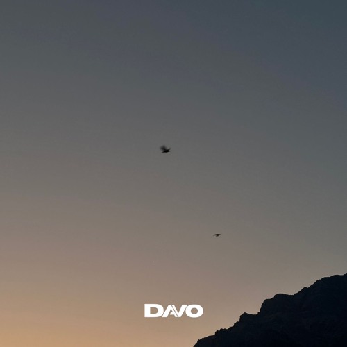 DAVO - Needed U