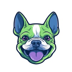 Jumpstr.io Freestyle