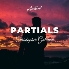 Christopher Galovan - Partials