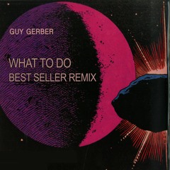 Guy Gerber, AME, - What To Do (Best Seller Remix)