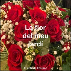La flor del meu jardí