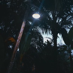 Stay Gold (Audio Edit)