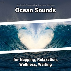 Sea Noises Nature Sounds to Calm Down