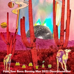 Funk Your Burn: Burning Man 2022 Disco House Set