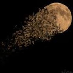 Dissolved In Space