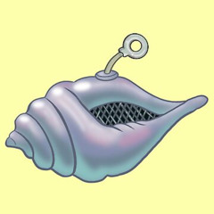 Conch Us