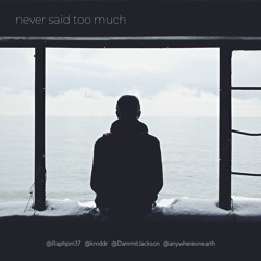 Never Said Too Much (ft Rafpreza, kmddr, Dammit Jackson, Anywhere on Earth)