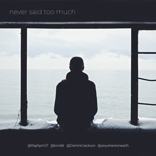 Never Said Too Much (ft Rafpreza, kmddr, Dammit Jackson, Anywhere on Earth)