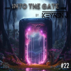 Into The Gate N°22