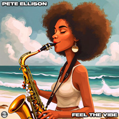 Pete Ellison - Feel The Vibe (Soulful Evolution)