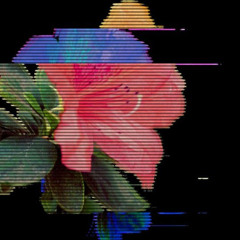 Why are you crying when we dance for a harvest sky ? (Oklou, Underscores x béka, Yakary, Marie Jay)