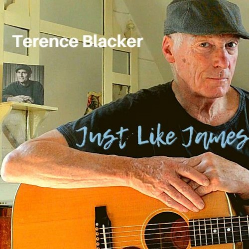 Just Like James - WAV