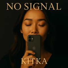 No Signal (Kitka)