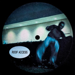 ROOF ACCESS