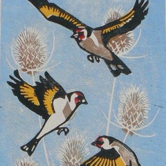 the birds