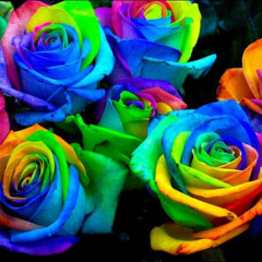 _Rainbows and Roses_