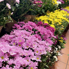 Hun zindagi diyan Ghadiya'n by sartaj