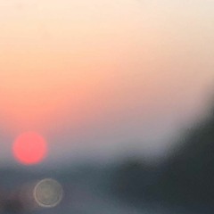 lexapro delirium (slowed)