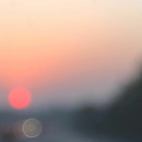 lexapro delirium (slowed)