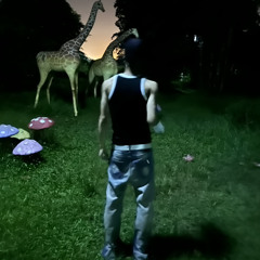 ( U N T I T L E )lilbanftkizk.demo