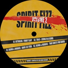 Tim B - Living In A Demo